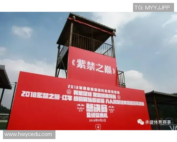 足球明星代言的烟草品牌引发的争议与影响分析